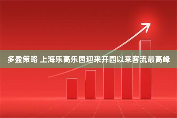 多盈策略 上海乐高乐园迎来开园以来客流最高峰